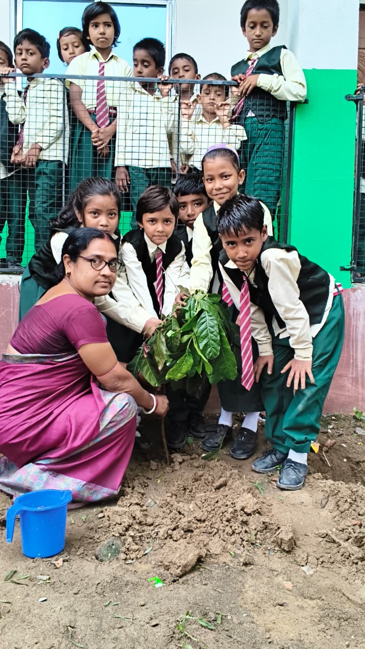 World Environment Day 2026