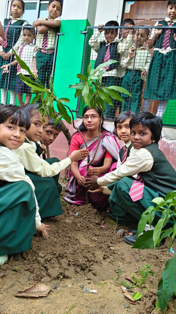 World Environment Day 2026