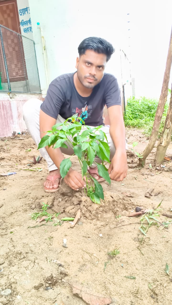 World Environment Day 2026